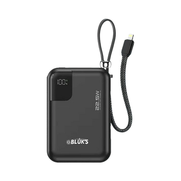 BX-308 Power Bank   20,000mAh / 77Wh / 3.85V